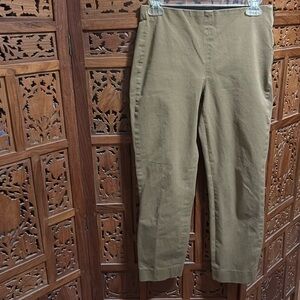 Everlane Skinny Stretch Pant with Slimming Seaming and Side Zipper